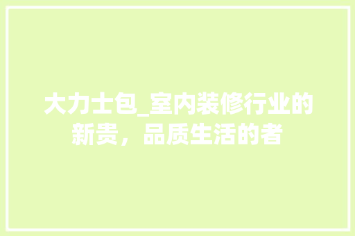 大力士包_室内装修行业的新贵，品质生活的者 现代风格装饰