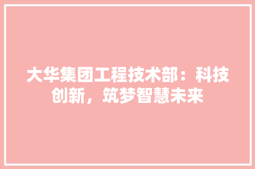 大华集团工程技术部：科技创新，筑梦智慧未来 现代风格装饰