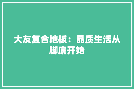 大友复合地板：品质生活从脚底开始 现代风格装饰