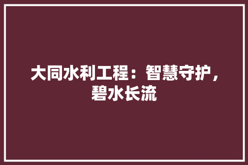 大同水利工程：智慧守护，碧水长流