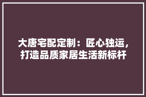 大唐宅配定制：匠心独运，打造品质家居生活新标杆 现代风格装饰