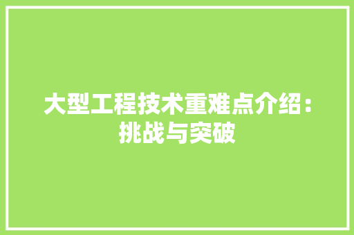 大型工程技术重难点介绍：挑战与突破