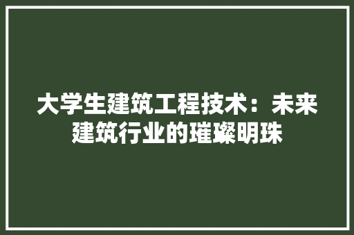大学生建筑工程技术：未来建筑行业的璀璨明珠 现代风格装饰