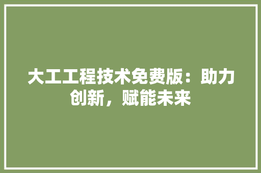 大工工程技术免费版：助力创新，赋能未来 现代风格装饰