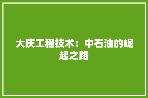 大庆工程技术：中石油的崛起之路 现代风格装饰