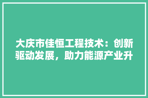大庆市佳恒工程技术：创新驱动发展，助力能源产业升级 现代风格装饰