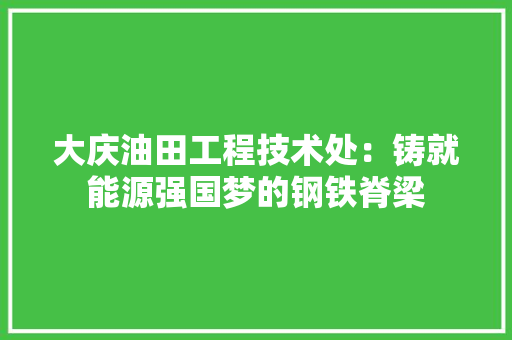 大庆油田工程技术处：铸就能源强国梦的钢铁脊梁 现代风格装饰