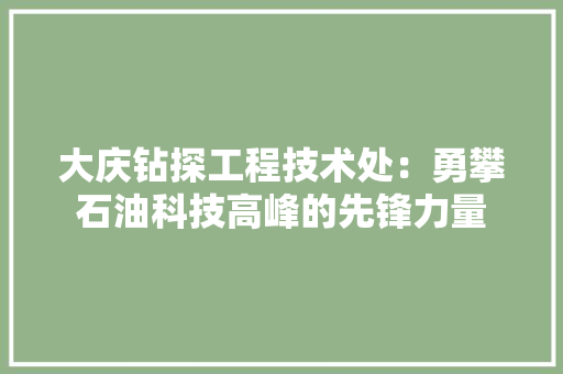大庆钻探工程技术处：勇攀石油科技高峰的先锋力量