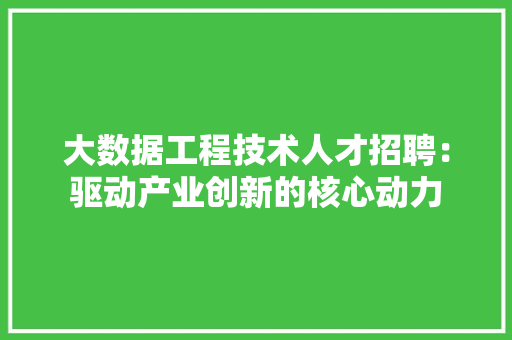 大数据工程技术人才招聘：驱动产业创新的核心动力 现代风格装饰