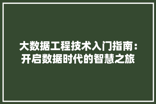 大数据工程技术入门指南：开启数据时代的智慧之旅 现代风格装饰