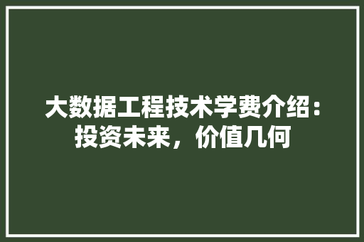 大数据工程技术学费介绍：投资未来，价值几何 现代风格装饰