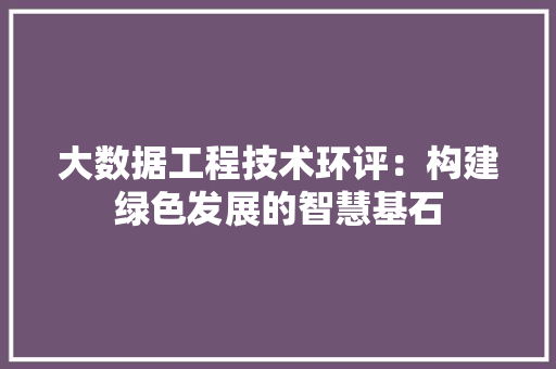 大数据工程技术环评：构建绿色发展的智慧基石 现代风格装饰