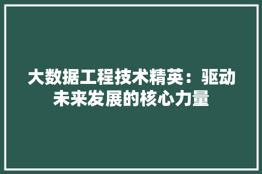 大数据工程技术精英：驱动未来发展的核心力量 现代风格装饰