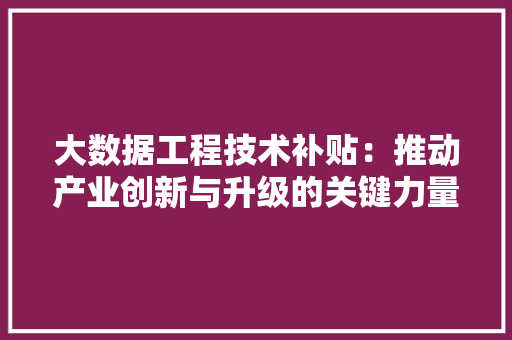 大数据工程技术补贴：推动产业创新与升级的关键力量