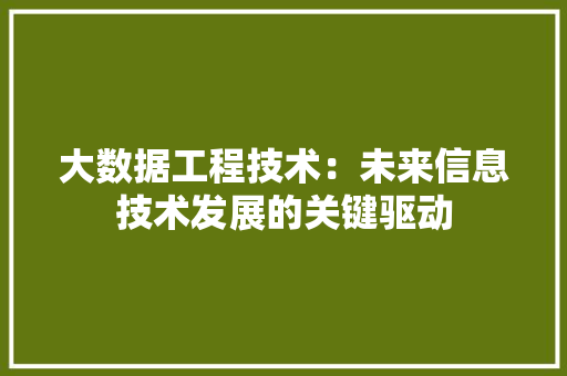 大数据工程技术：未来信息技术发展的关键驱动 现代风格装饰