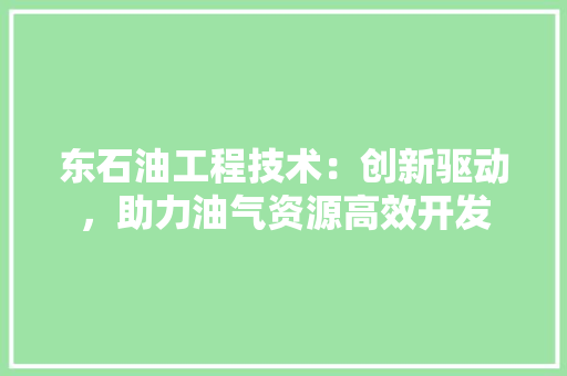 东石油工程技术：创新驱动，助力油气资源高效开发 家居装修