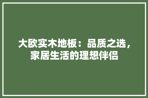 大欧实木地板：品质之选，家居生活的理想伴侣 现代风格装饰