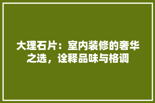 大理石片：室内装修的奢华之选，诠释品味与格调 现代风格装饰