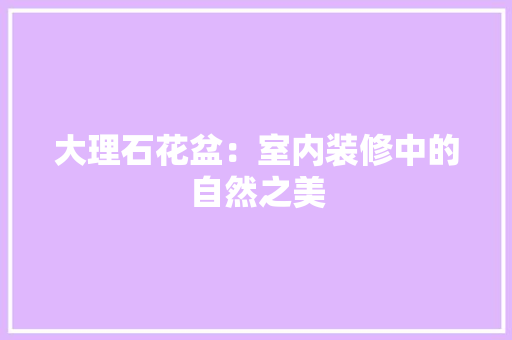 大理石花盆：室内装修中的自然之美 现代风格装饰