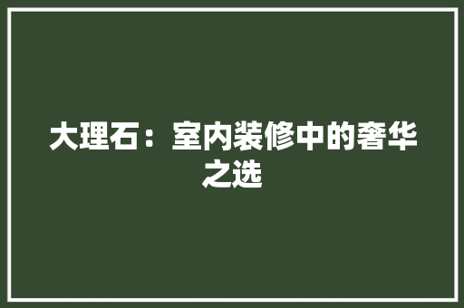 大理石：室内装修中的奢华之选 现代风格装饰