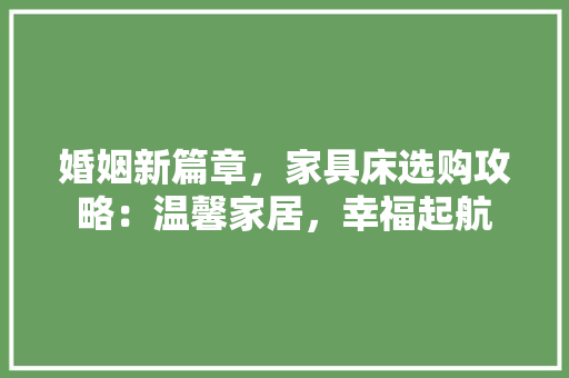 婚姻新篇章，家具床选购攻略：温馨家居，幸福起航 现代风格装饰