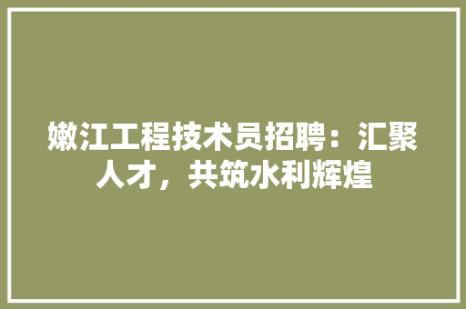嫩江工程技术员招聘：汇聚人才，共筑水利辉煌 现代风格装饰