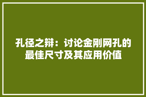 孔径之辩：讨论金刚网孔的最佳尺寸及其应用价值 现代风格装饰