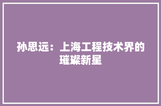 孙思远：上海工程技术界的璀璨新星 现代风格装饰