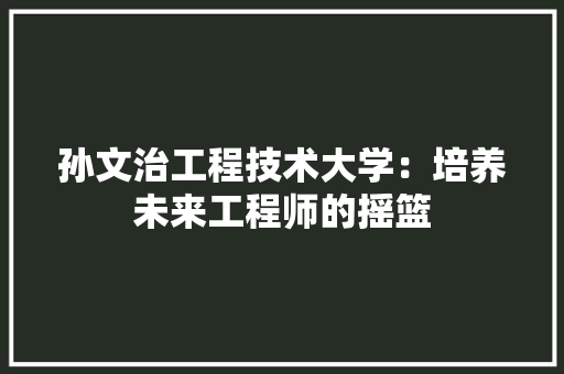 孙文治工程技术大学：培养未来工程师的摇篮 现代风格装饰