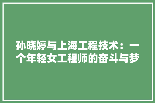 孙晓婷与上海工程技术：一个年轻女工程师的奋斗与梦想 现代风格装饰
