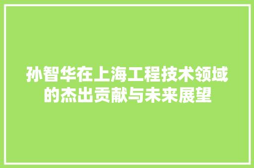 孙智华在上海工程技术领域的杰出贡献与未来展望 现代风格装饰