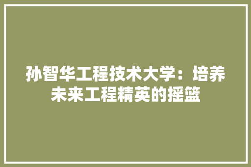 孙智华工程技术大学：培养未来工程精英的摇篮 现代风格装饰