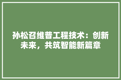 孙松召维普工程技术：创新未来，共筑智能新篇章 现代风格装饰