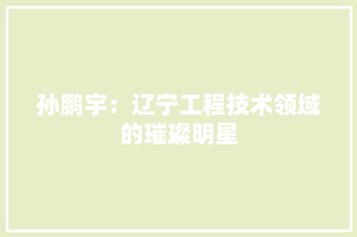 孙鹏宇：辽宁工程技术领域的璀璨明星 现代风格装饰