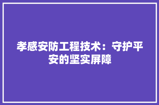 孝感安防工程技术：守护平安的坚实屏障 现代风格装饰