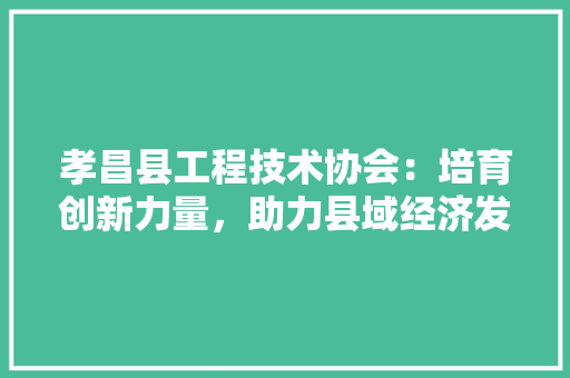 孝昌县工程技术协会：培育创新力量，助力县域经济发展 现代风格装饰