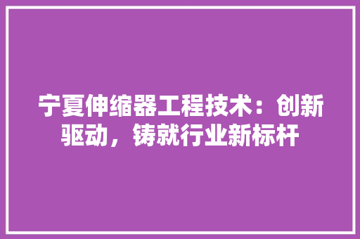 宁夏伸缩器工程技术：创新驱动，铸就行业新标杆 现代风格装饰