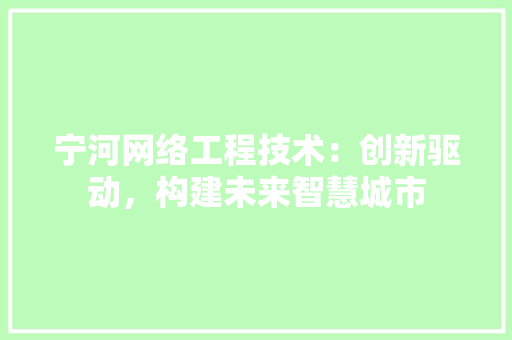 宁河网络工程技术：创新驱动，构建未来智慧城市