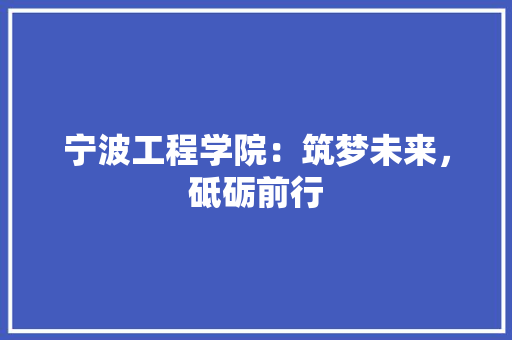 宁波工程学院：筑梦未来，砥砺前行 现代风格装饰