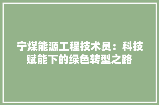 宁煤能源工程技术员：科技赋能下的绿色转型之路 现代风格装饰