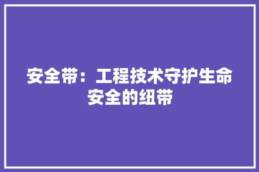 安全带：工程技术守护生命安全的纽带 现代风格装饰