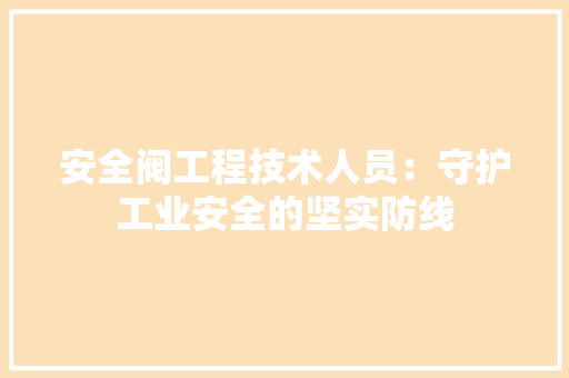 安全阀工程技术人员：守护工业安全的坚实防线 现代风格装饰