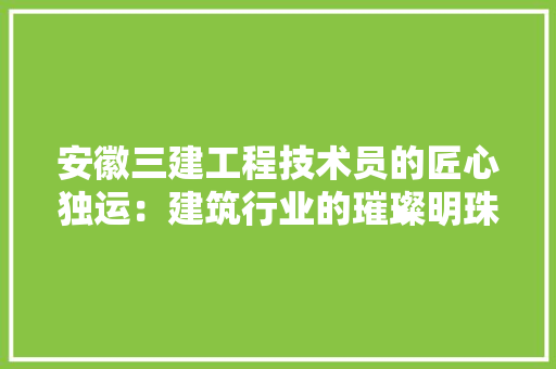 安徽三建工程技术员的匠心独运：建筑行业的璀璨明珠 现代风格装饰