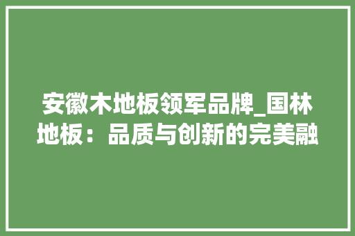 安徽木地板领军品牌_国林地板：品质与创新的完美融合 现代风格装饰