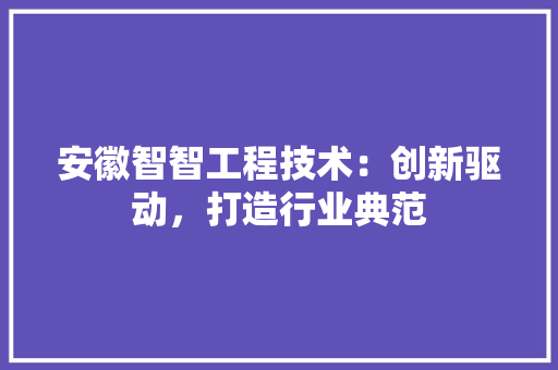 安徽智智工程技术：创新驱动，打造行业典范 现代风格装饰