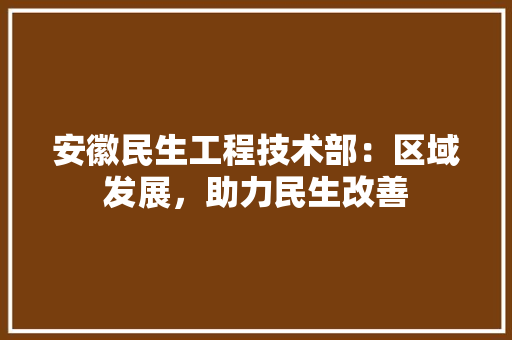 安徽民生工程技术部：区域发展，助力民生改善 现代风格装饰