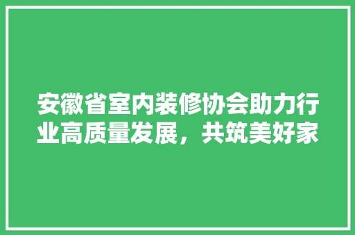 安徽省室内装修协会助力行业高质量发展，共筑美好家园 现代风格装饰