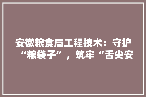 安徽粮食局工程技术：守护“粮袋子”，筑牢“舌尖安全” 现代风格装饰