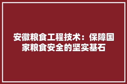 安徽粮食工程技术：保障国家粮食安全的坚实基石 现代风格装饰