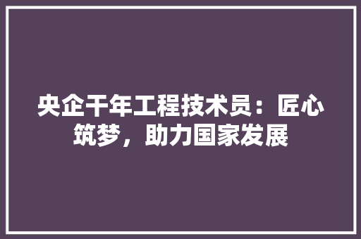 央企干年工程技术员：匠心筑梦，助力国家发展 现代风格装饰